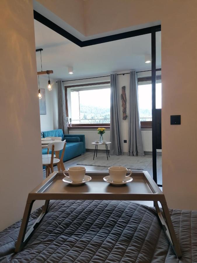 Apartament Widokowy Ul Bukowa ヴィスワ エクステリア 写真