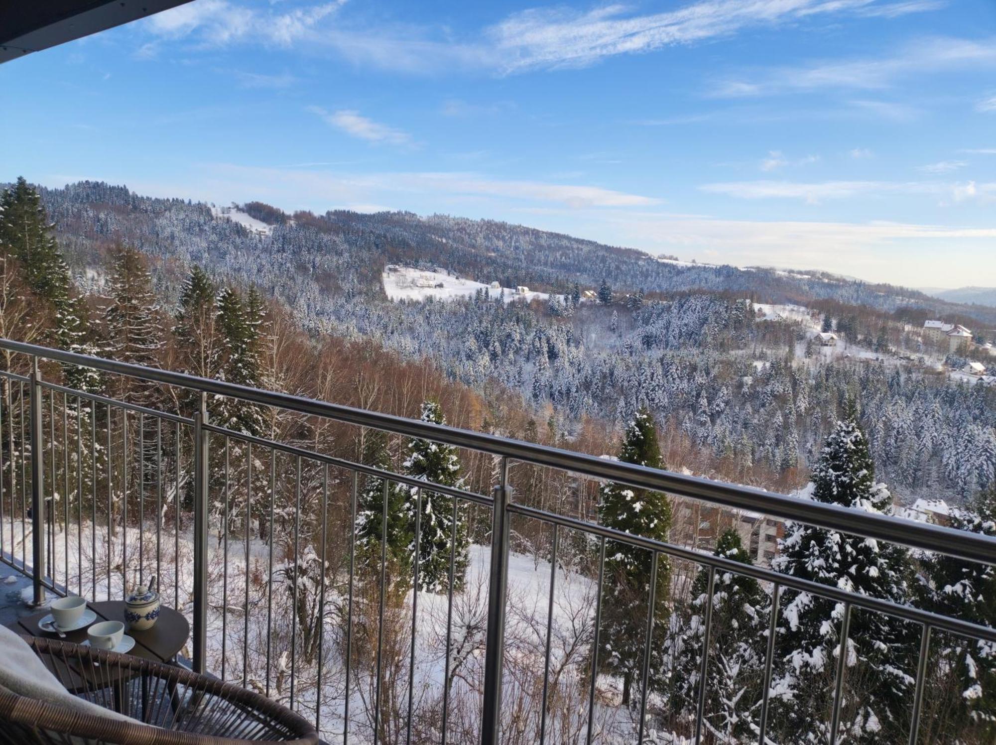 Apartament Widokowy Ul Bukowa ヴィスワ エクステリア 写真